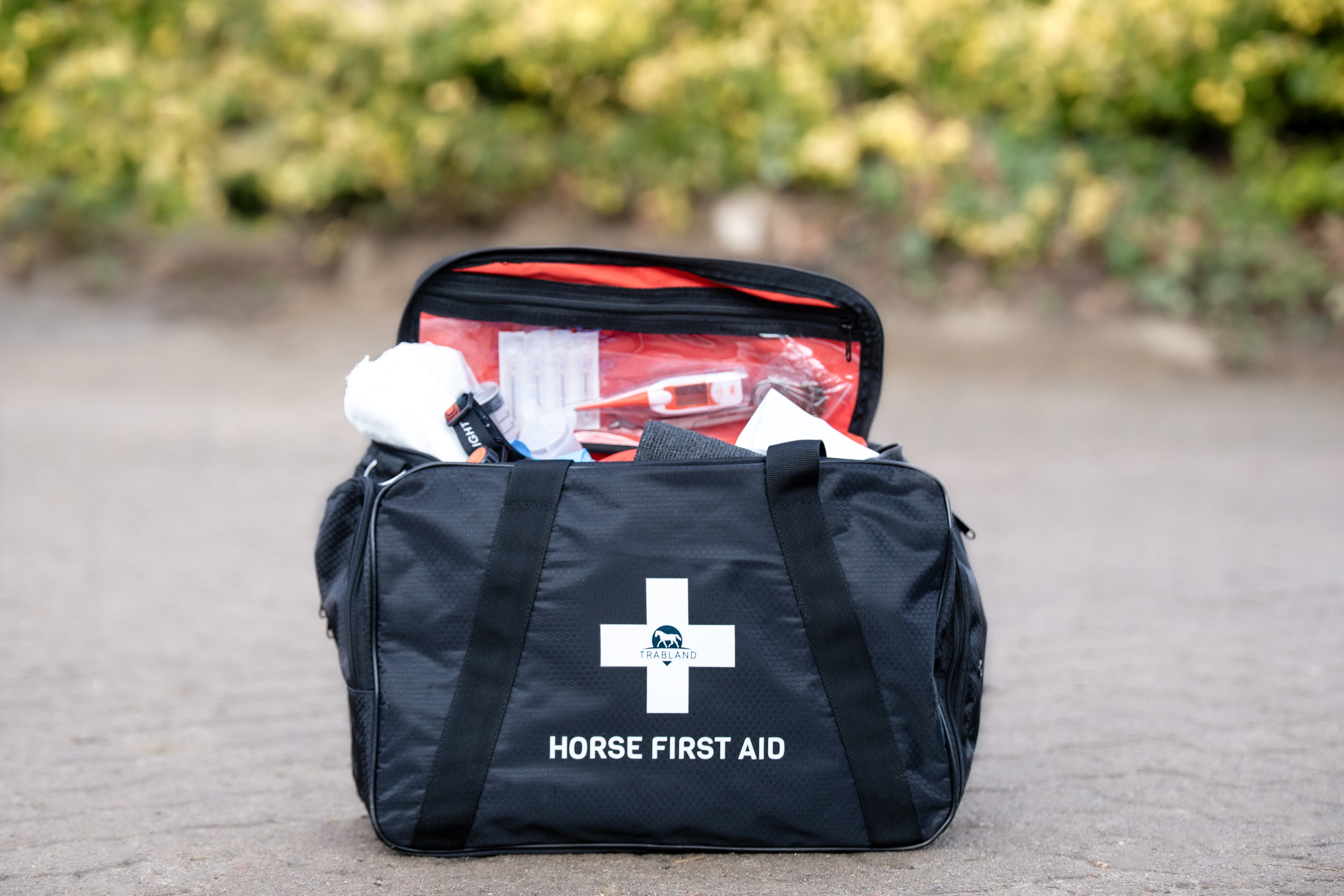 Foto einer Erste Hilfe Tasche für Pferde