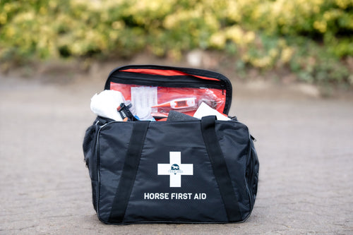 Foto einer Erste Hilfe Tasche für Pferde